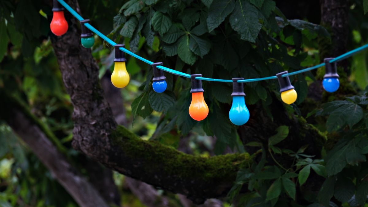Colorful string lights in a garden setting create a festive atmosphere. Perfect for celebrations.