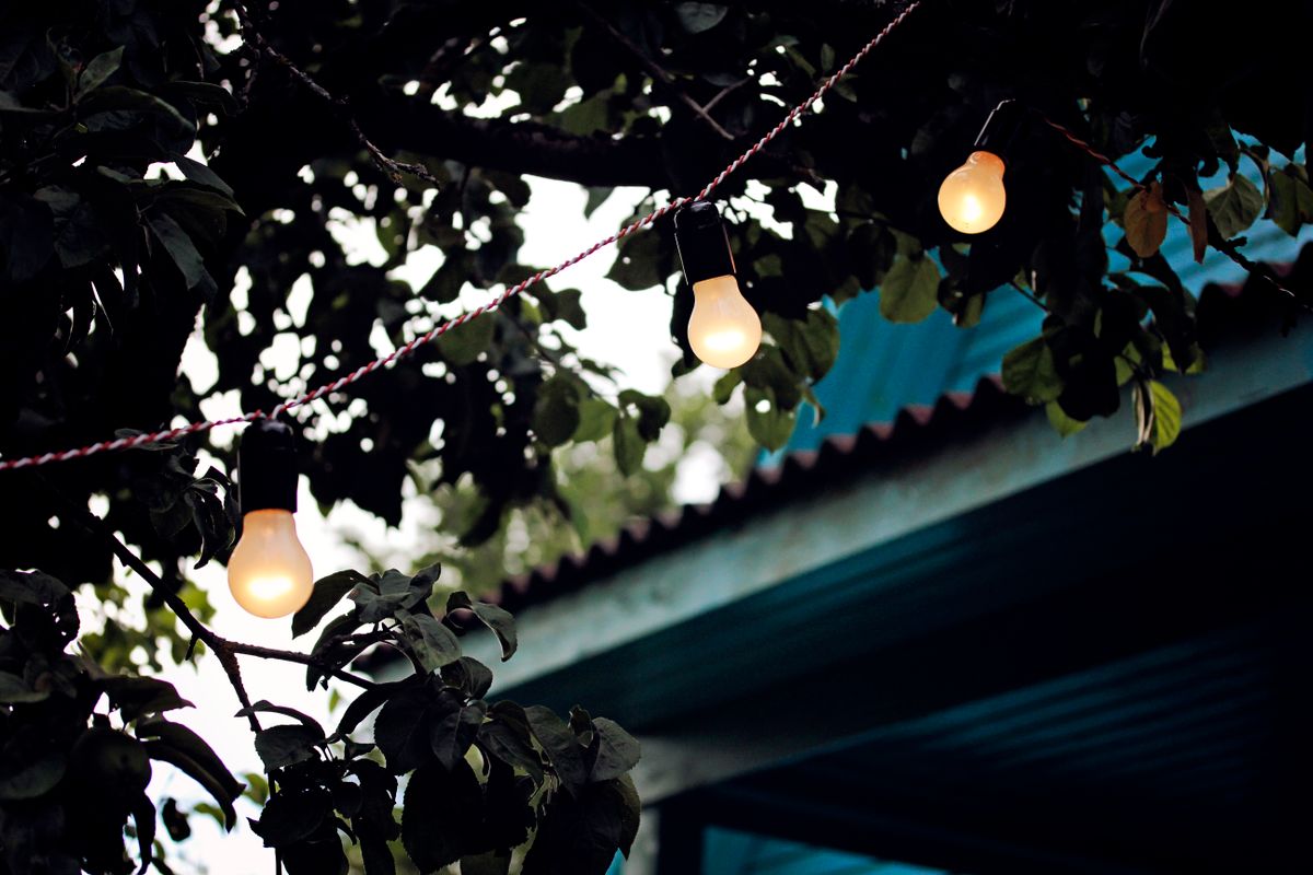 Atmospheric string lights hanging among lush green tree branches at dusk.