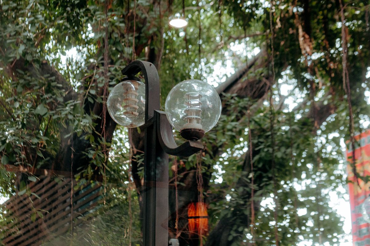 Vintage street lamp amidst dense greenery casting soft natural light in an outdoor setting.