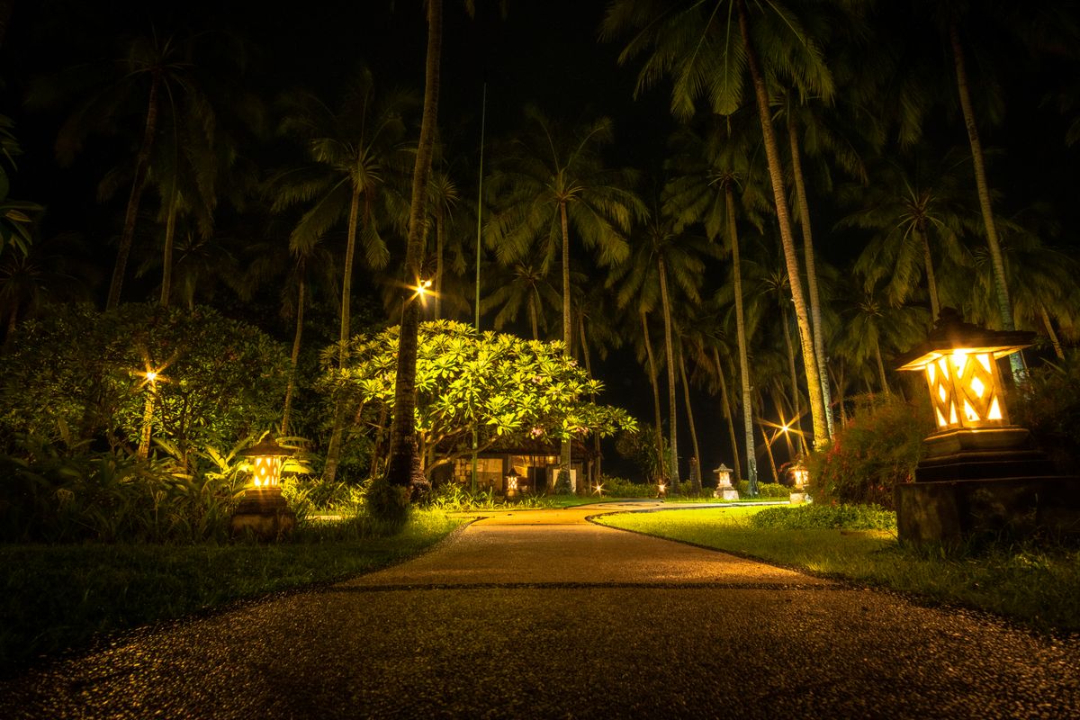 A serene path through palm trees illuminated by warm lights, creating a magical night ambiance.
