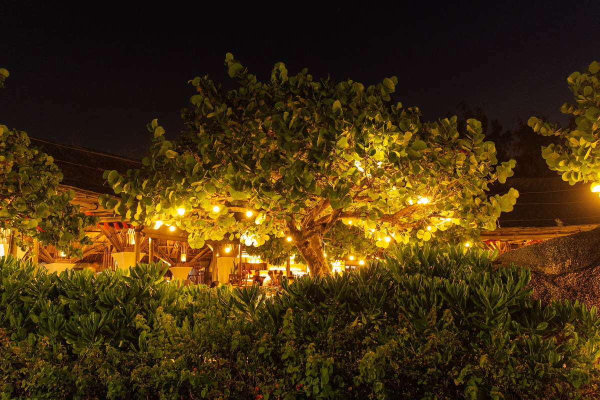 Charming outdoor cafe under illuminated tree with string lights at night.