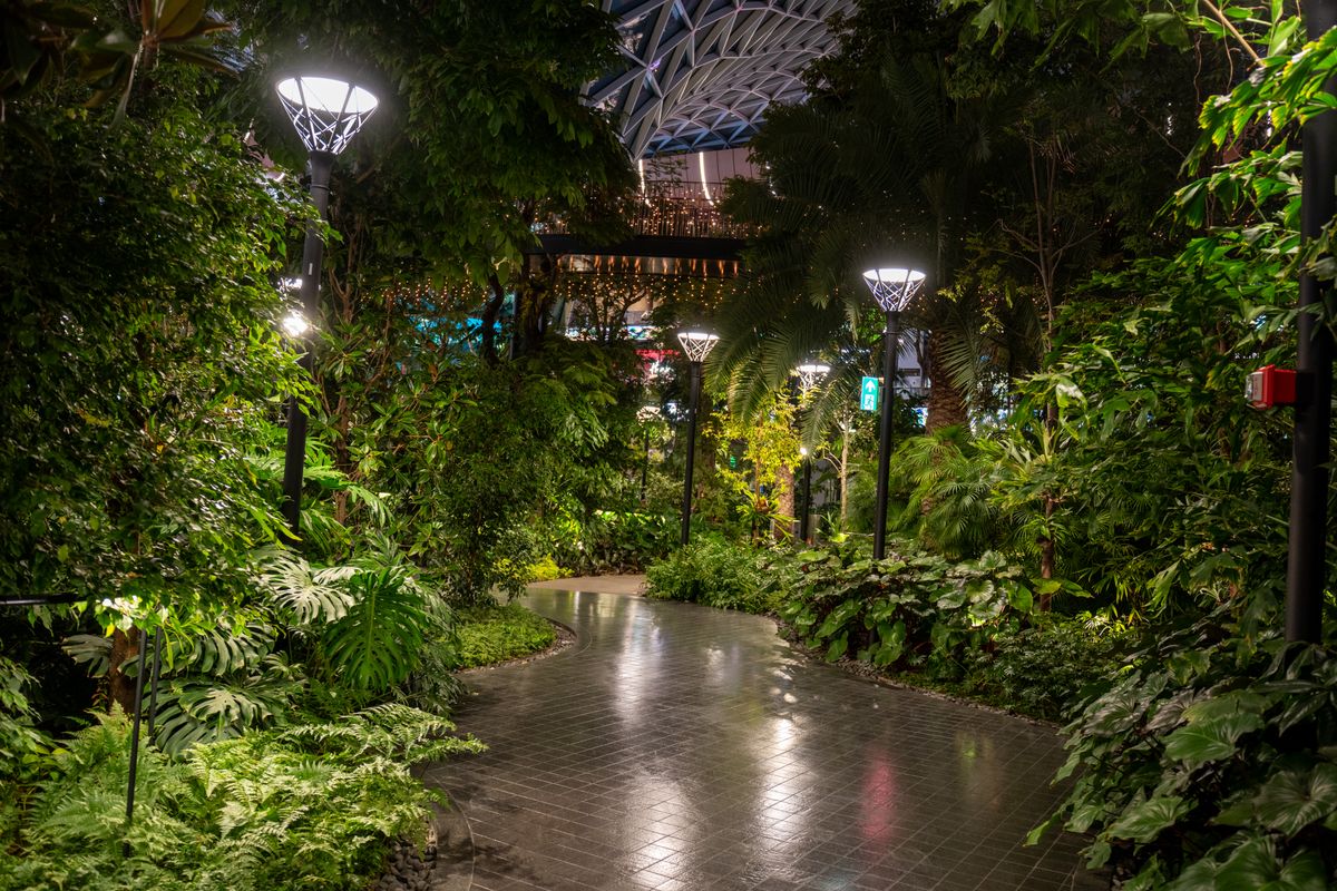 Serene indoor botanical garden path with lush foliage and ambient lighting in Doha.
