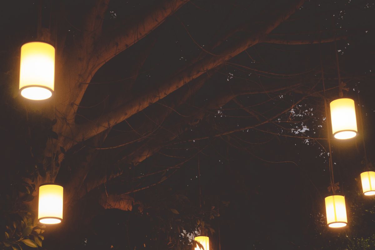 Warm light glow of lanterns hanging among trees at night.