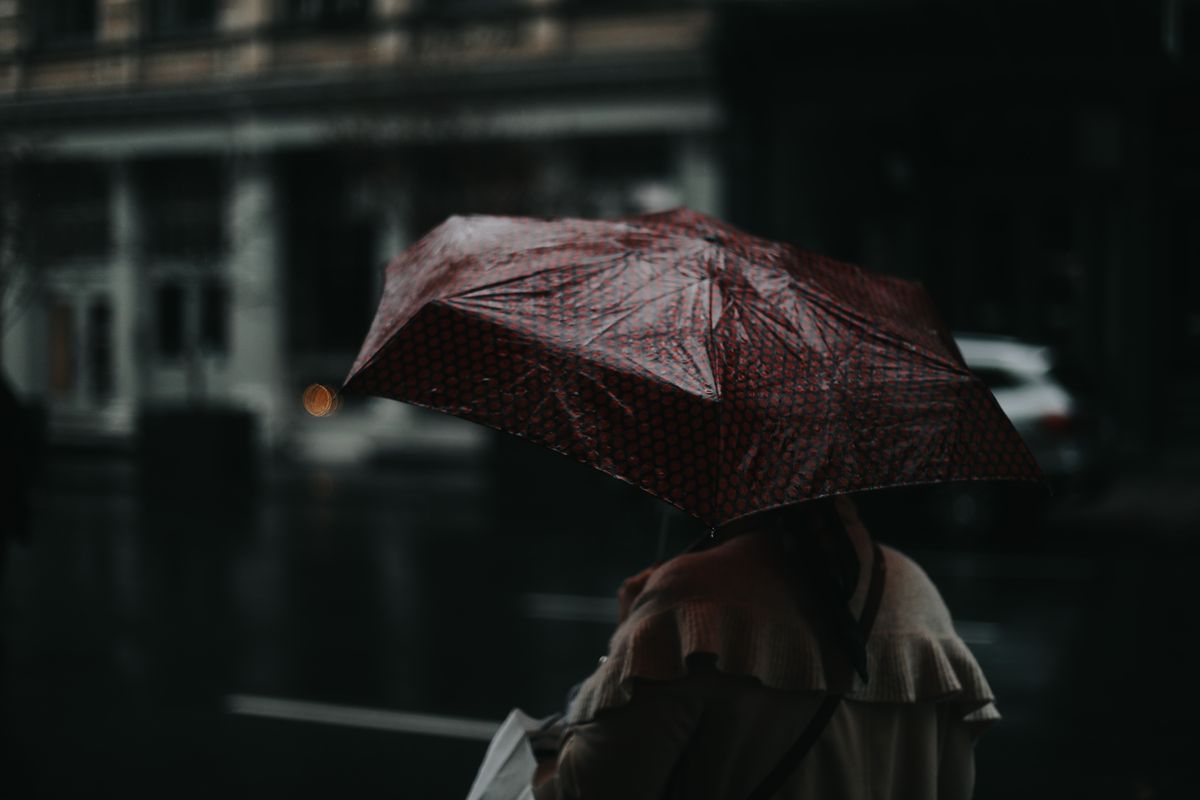 Back view of anonymous person in casual clothes with wet umbrella walking on street against building in rainy day