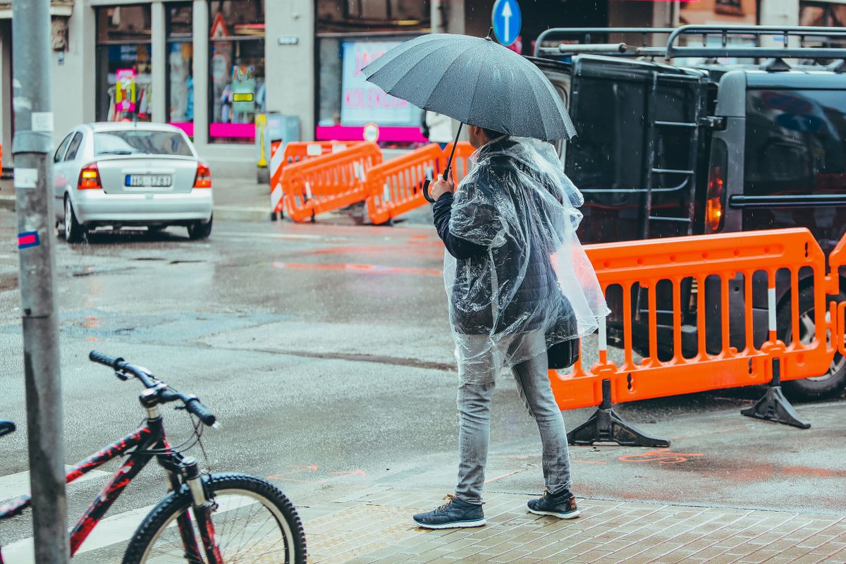 Back view full body of anonymous man with umbrella waiting for signal on pedestrian crossing in rainy weather