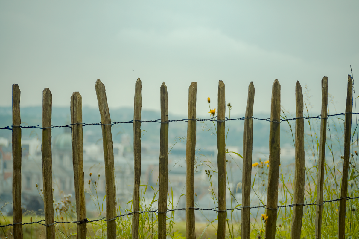Wooden fence with barbed wire in countryside setting, overlooking scenic landscape.