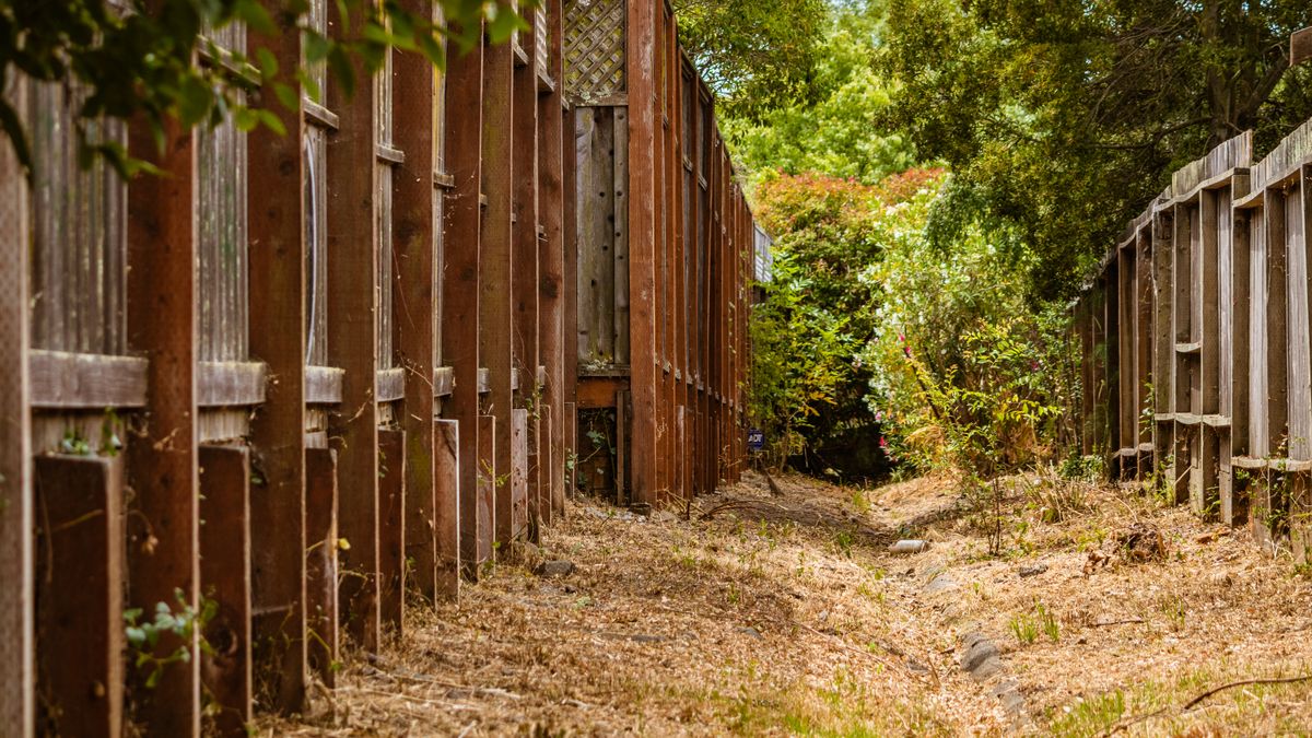 A rustic wooden fence aligning a narrow dirt pathway surrounded by greenery.
