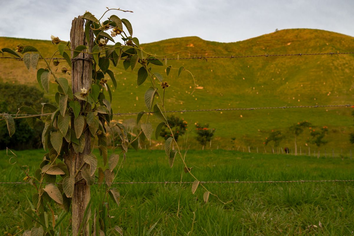 A serene countryside landscape with a barbed wire fence and lush grassy hills.