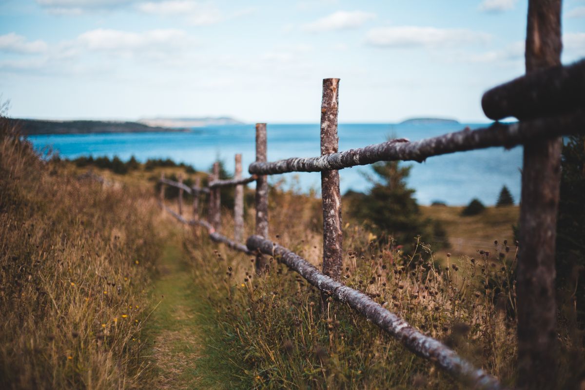Aged wooden fence near narrow pathway in growing grass near blue sea under cloudy sky
