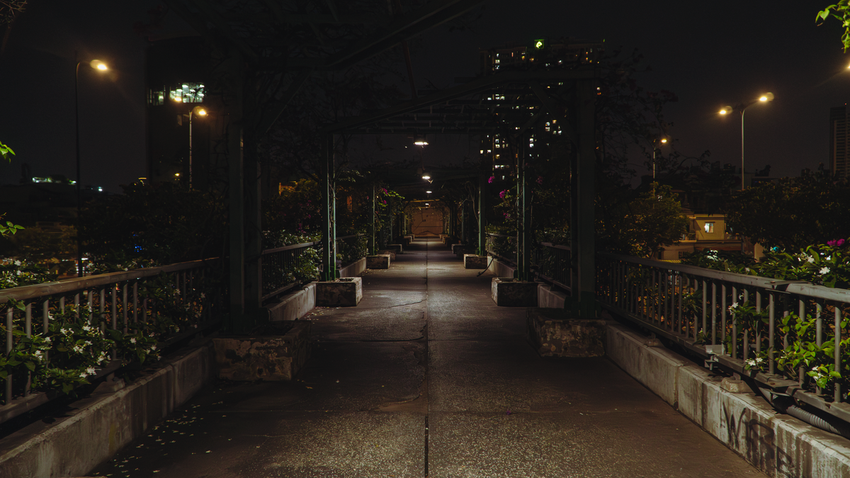 A deserted urban walkway at night, surrounded by greenery and illuminated by streetlights.