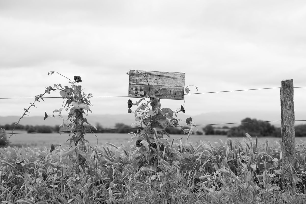Black and white image of a rustic signpost on a farm fence in Córdoba, Argentina.