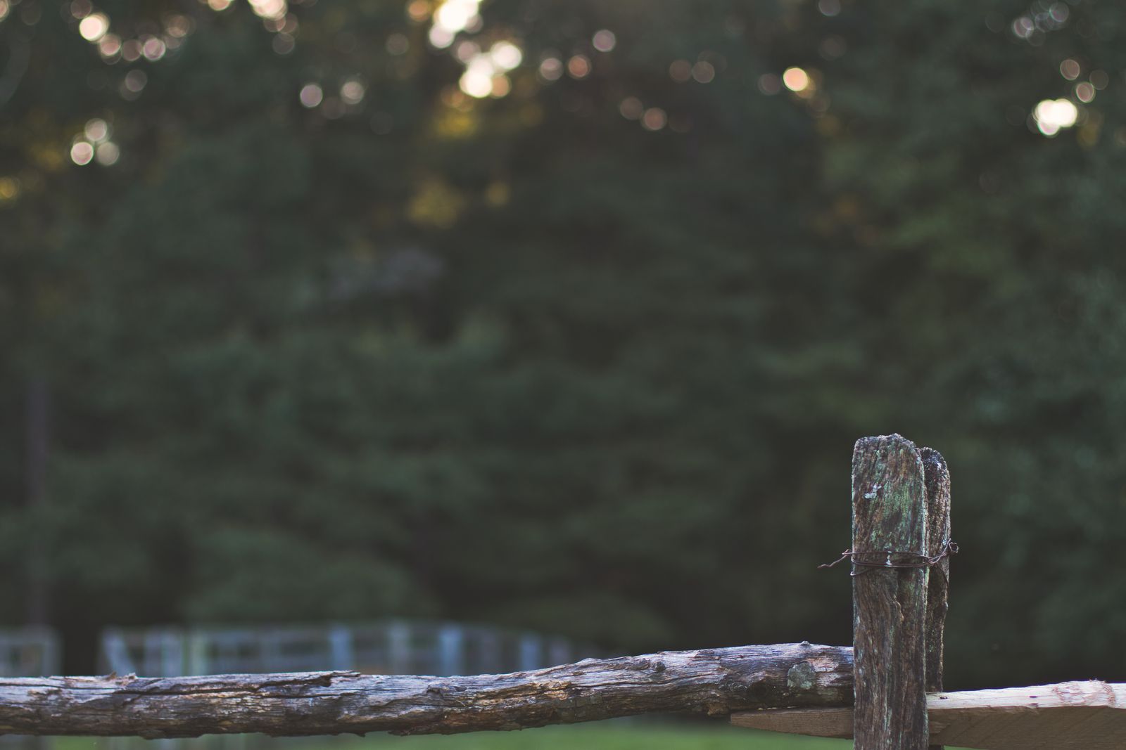 Deck and Fence Post Sizing FAQ: Finding the Perfect Solar Light Compatibility