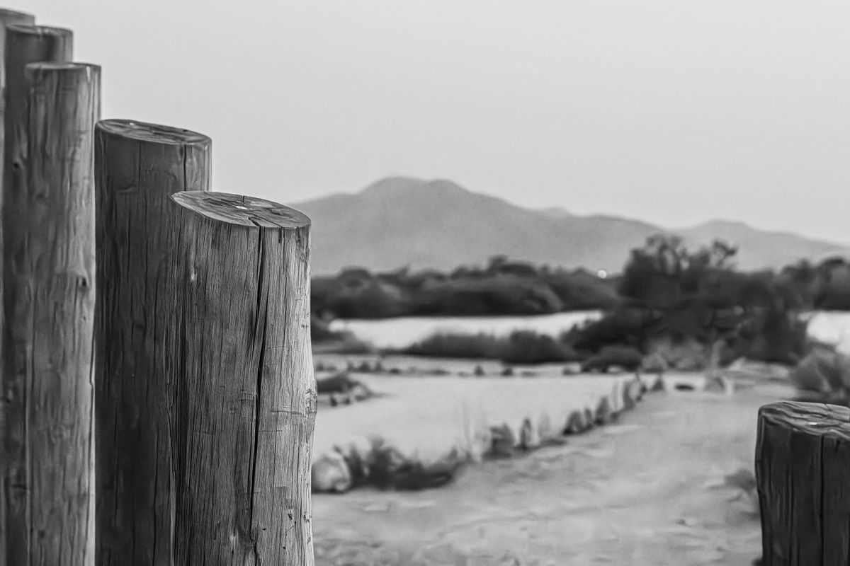 Serene black and white landscape featuring wooden posts and distant mountains in Khor Kalba, UAE.