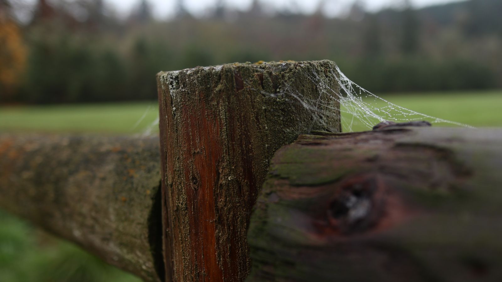 How to Protect Fence Post Tops From Moisture and Rot