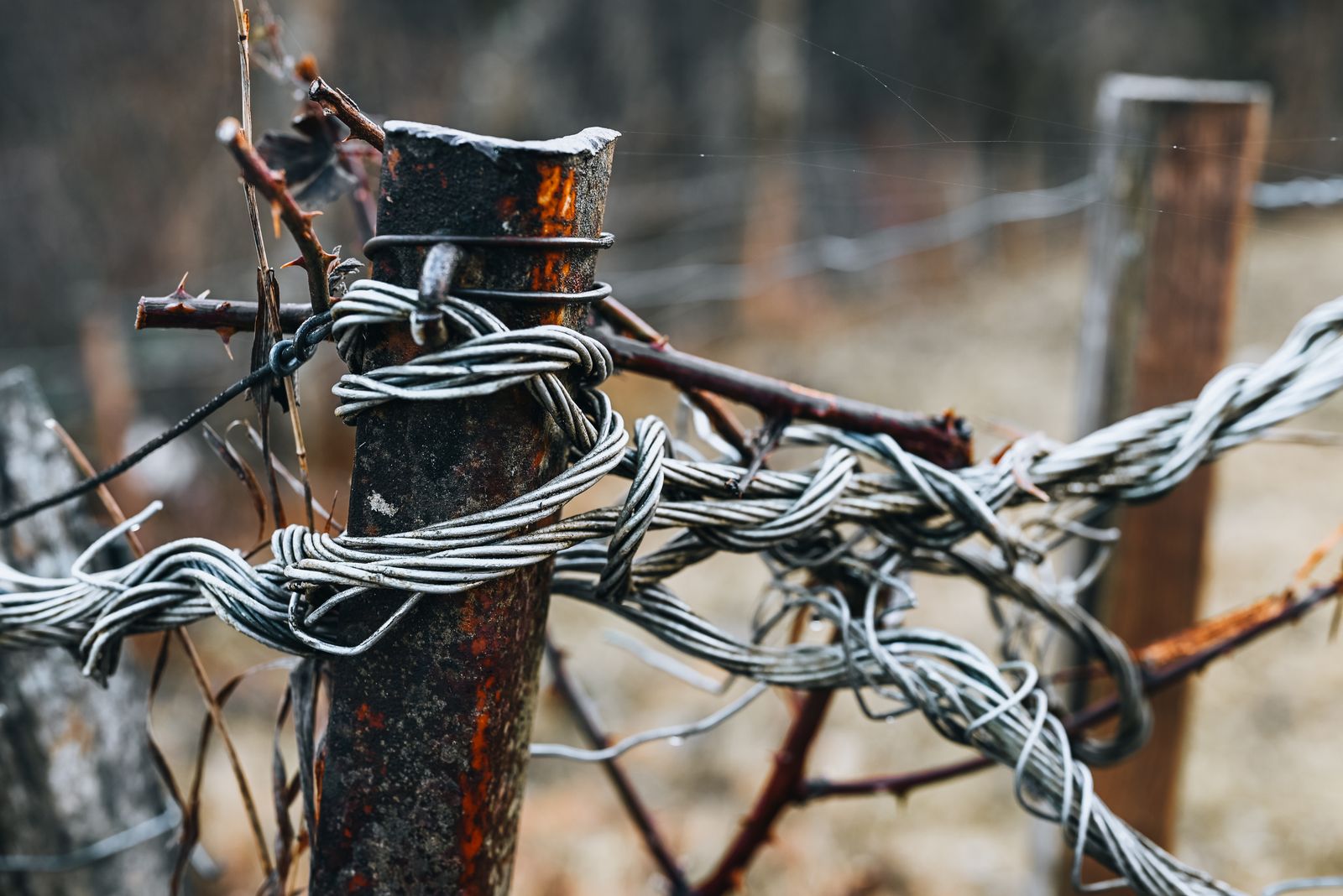 How to Protect Fence Post Tops From Moisture and Rot
