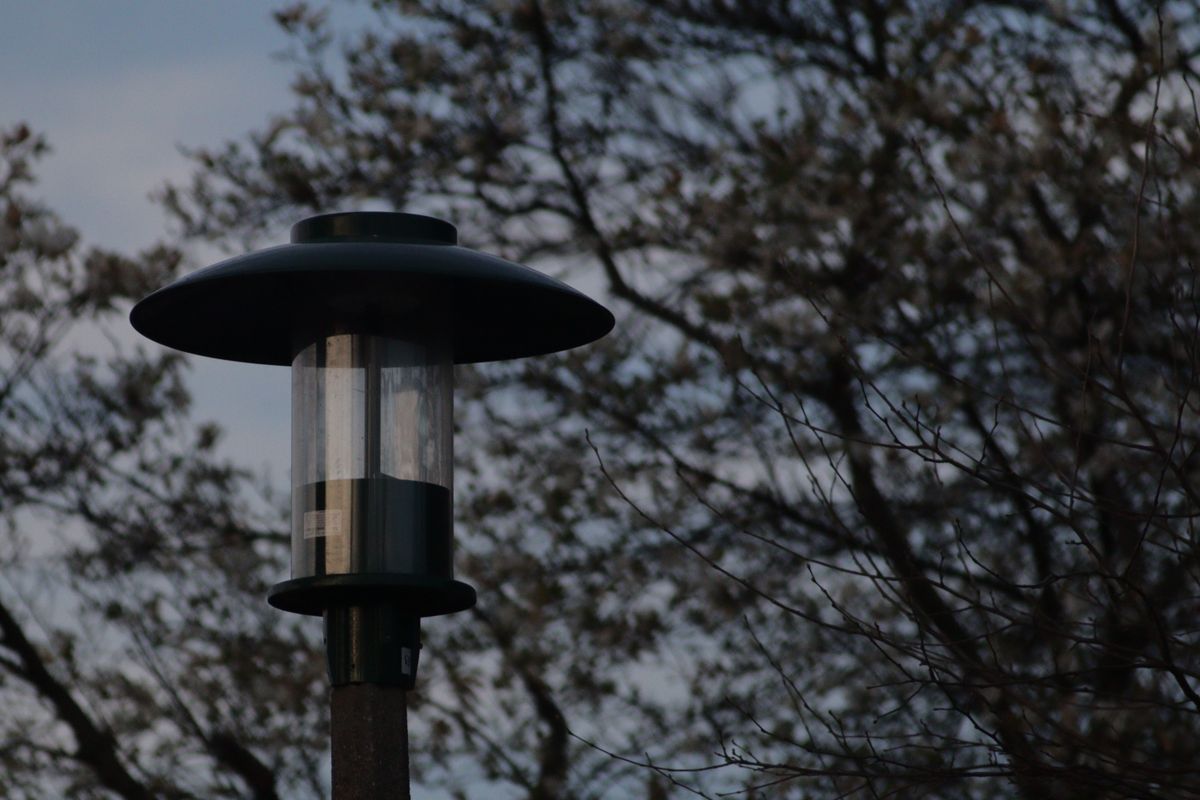 A silhouette of a street lamp set against leafless tree branches during dusk.