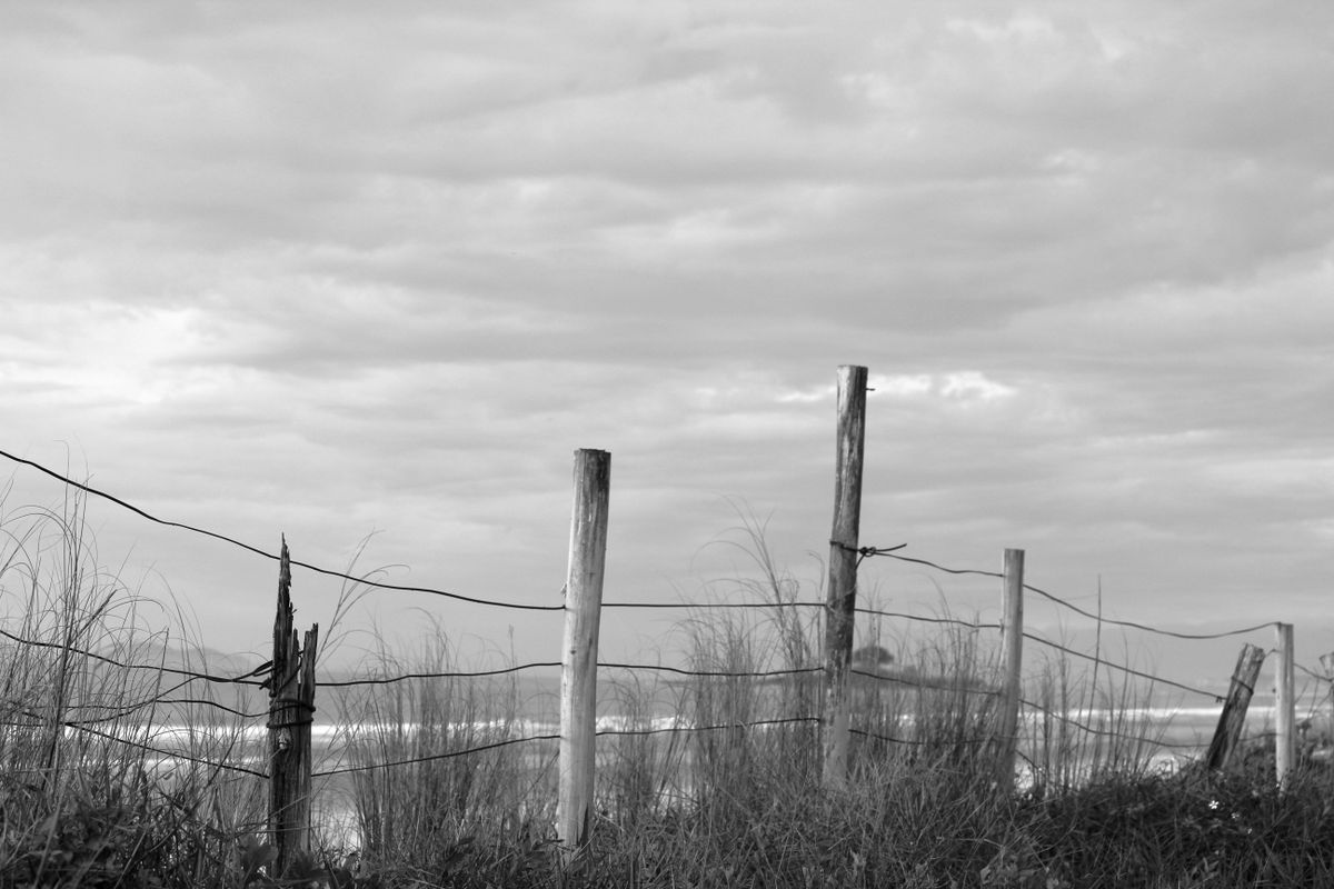 Black and white coastal scene with a rustic wooden fence in Guaratuba, Brazil.