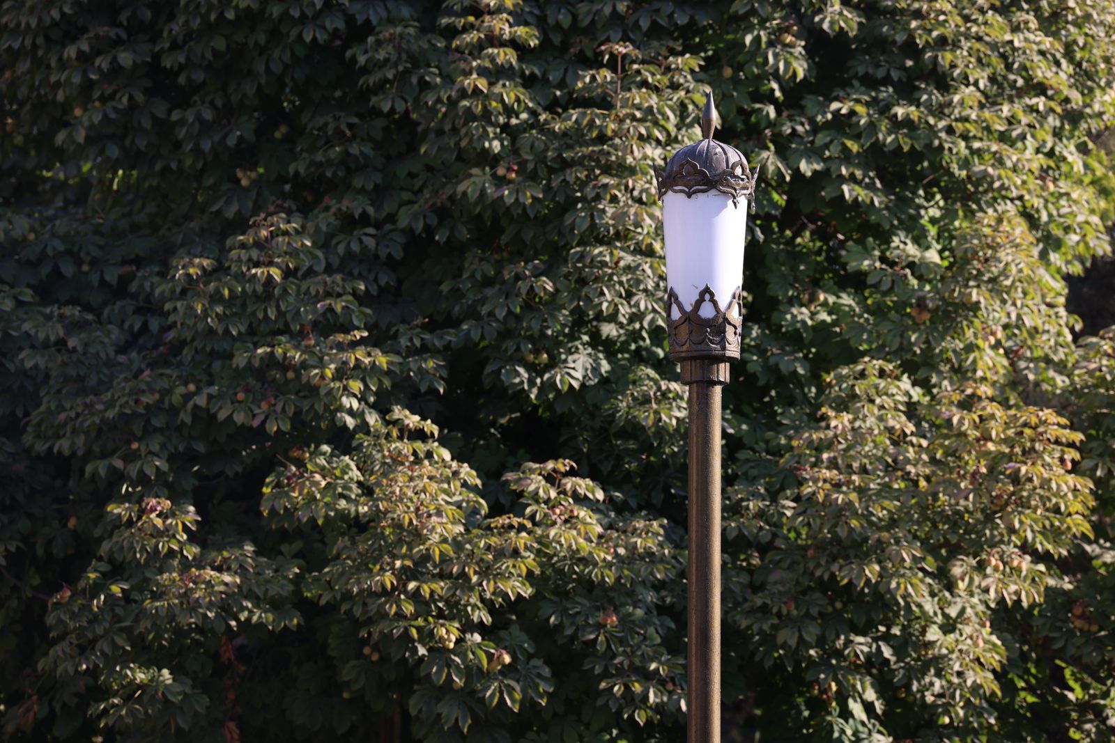 Only Some Caps in a Run Are Lighting Up: Diagnosing an Uneven Post Line