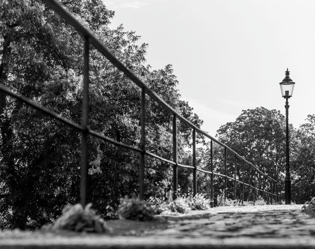 A black and white photograph showcasing a street in Basel, Switzerland, featuring a vintage lamp post and trees.