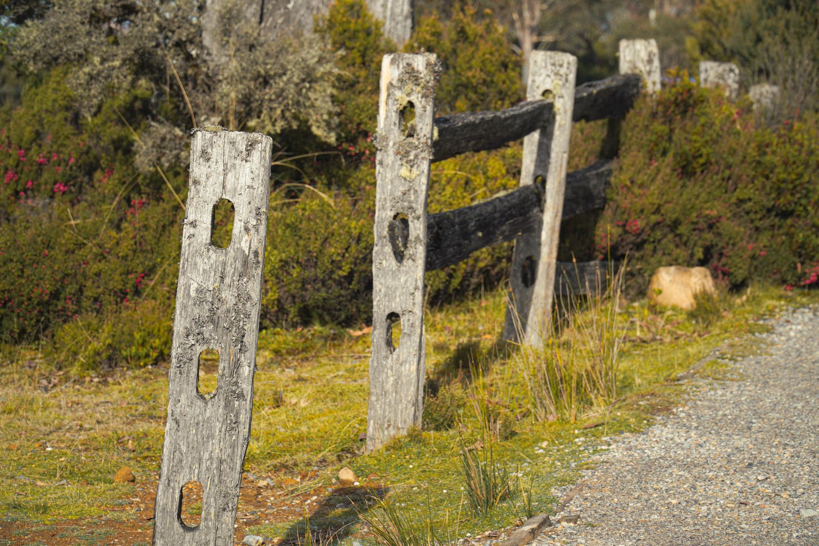 Shared Boundary Fence Lighting: How to Coordinate With a Neighbor