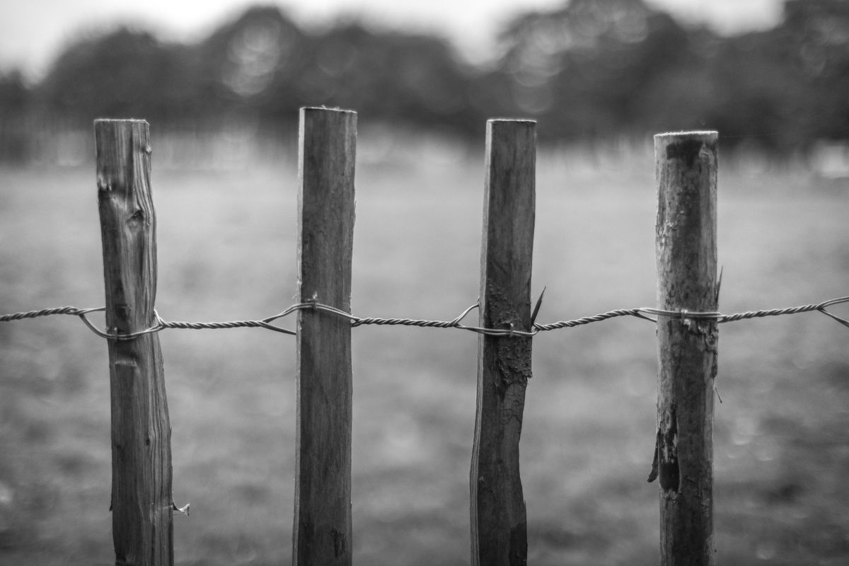 A close-up of a rustic wooden fence captured in black and white, showcasing texture and rural simplicity.