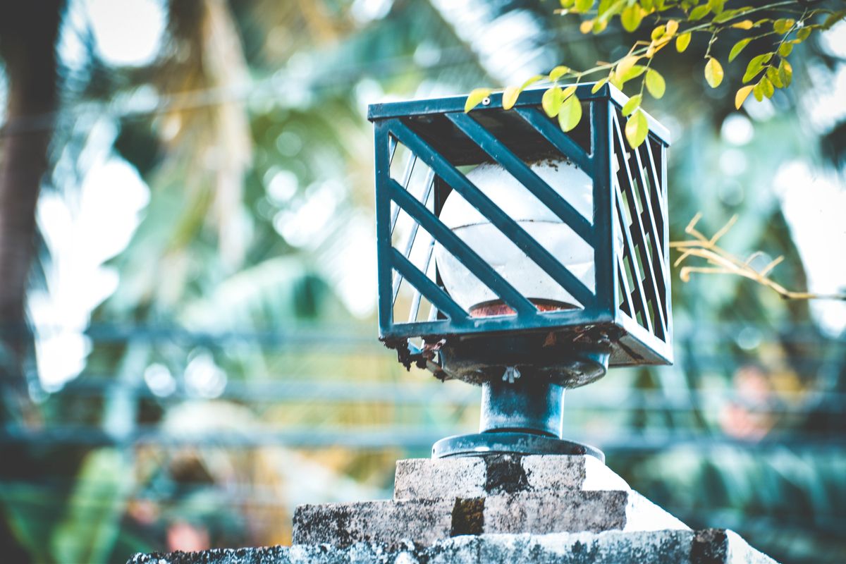 Close-up of a decorative outdoor lantern at daytime with lush greenery in the background.