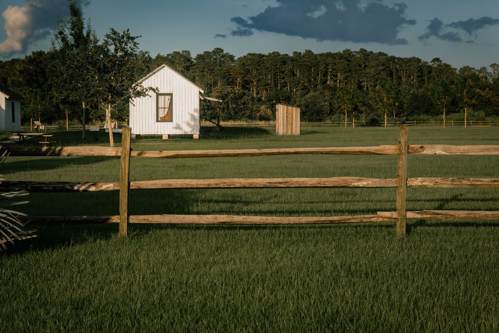 Do Solar Fence Lights Attract Bugs or Disturb Wildlife?