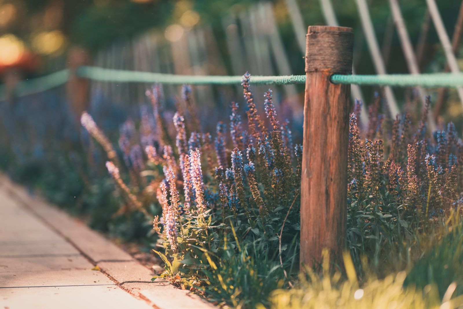Do Solar Fence Lights Attract Bugs or Disturb Wildlife?