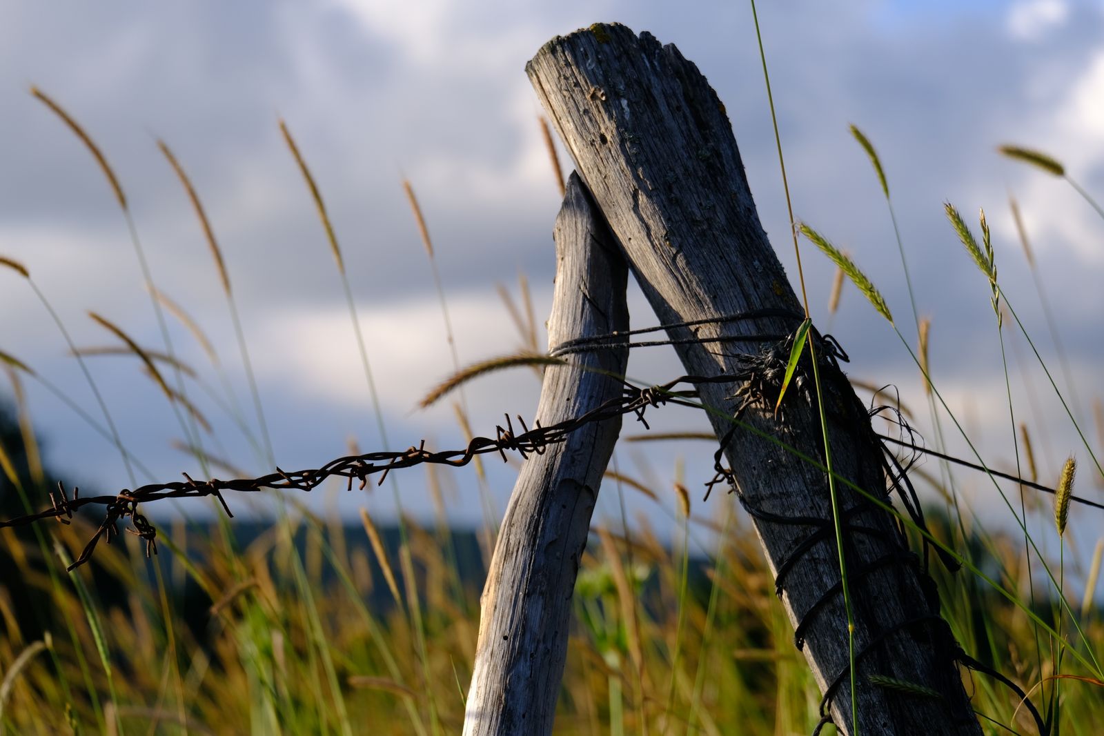 Condensation Inside the Lens or a Loose Cap: Field Fixes for Solar Post Lights