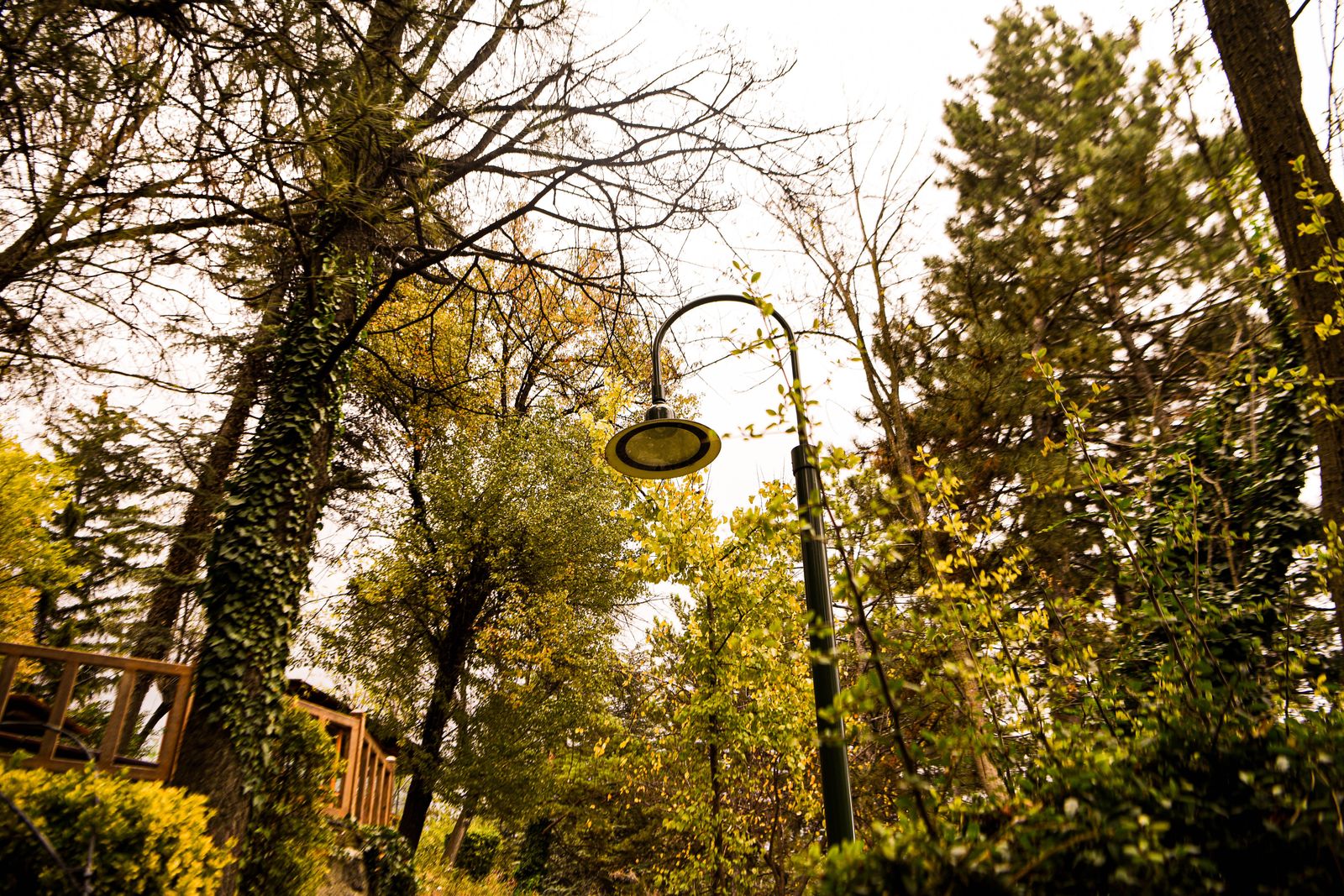 Lighting a Chicken Run or Animal Pen at Dusk: Solar Post Cap FAQ
