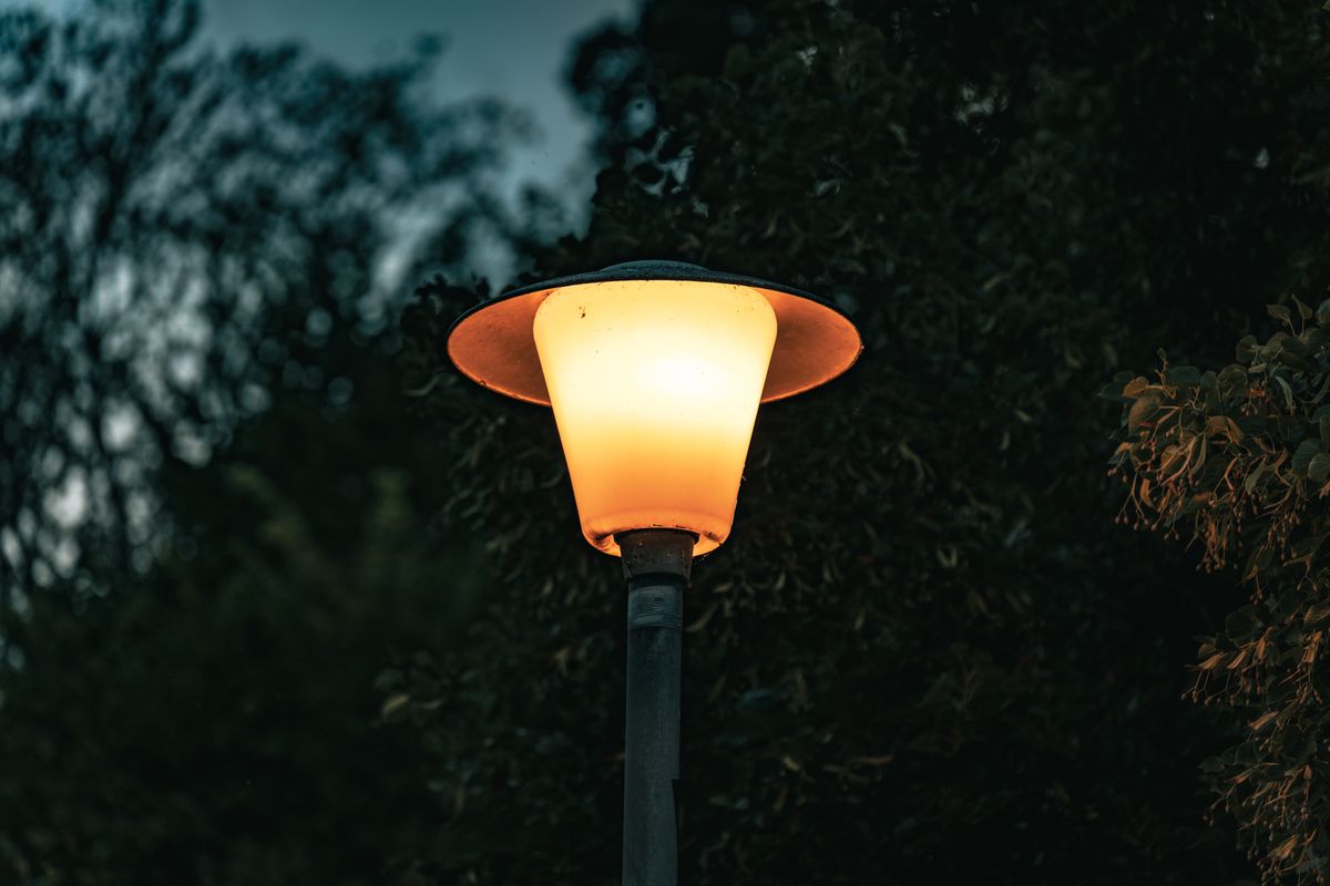 A glowing street lamp surrounded by dark foliage, casting a warm light.