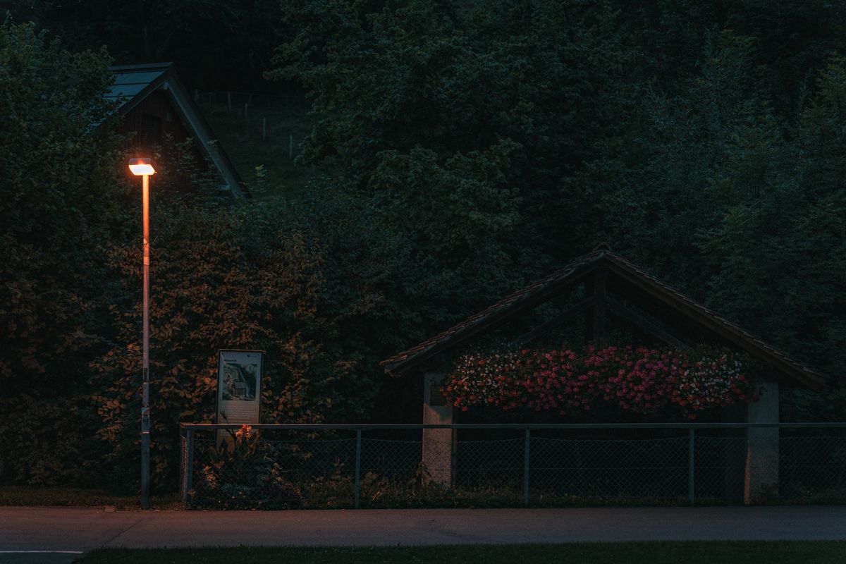 A dimly lit street lamp illuminates a rustic house surrounded by lush greenery at night.