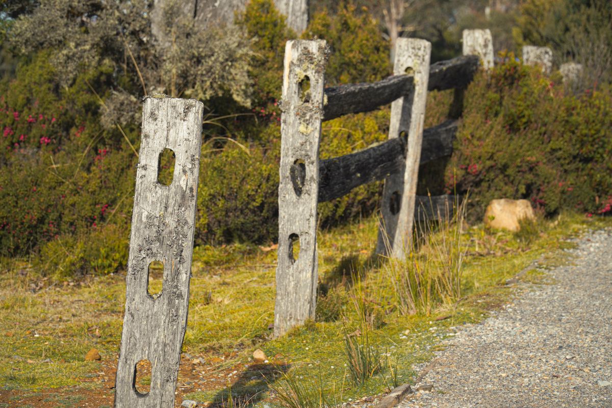 Weathered wooden fence in a scenic landscape at Cradle Mountain, Tasmania, Australia.