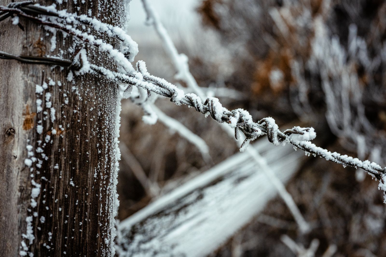 Store Them or Leave Them Out? A Winter Decision Guide for Solar Post Cap Lights
