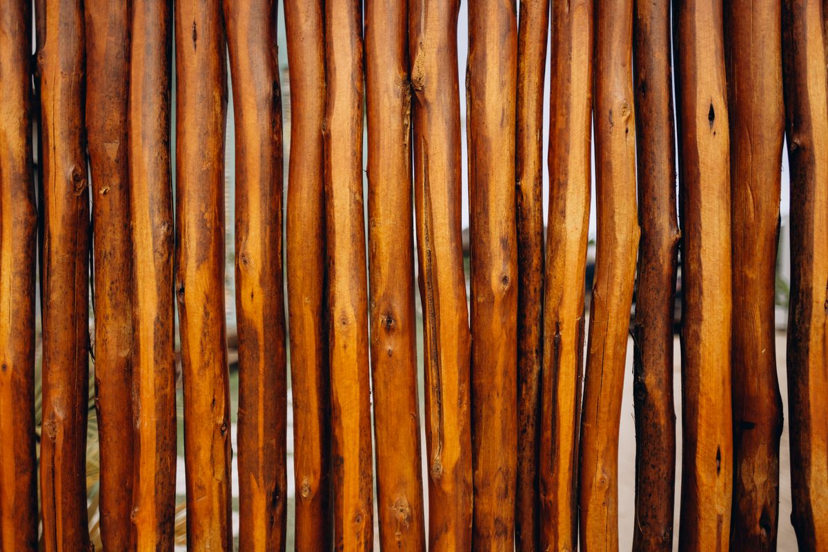 Close-up of a rustic wooden fence showcasing its natural texture and warm tones.