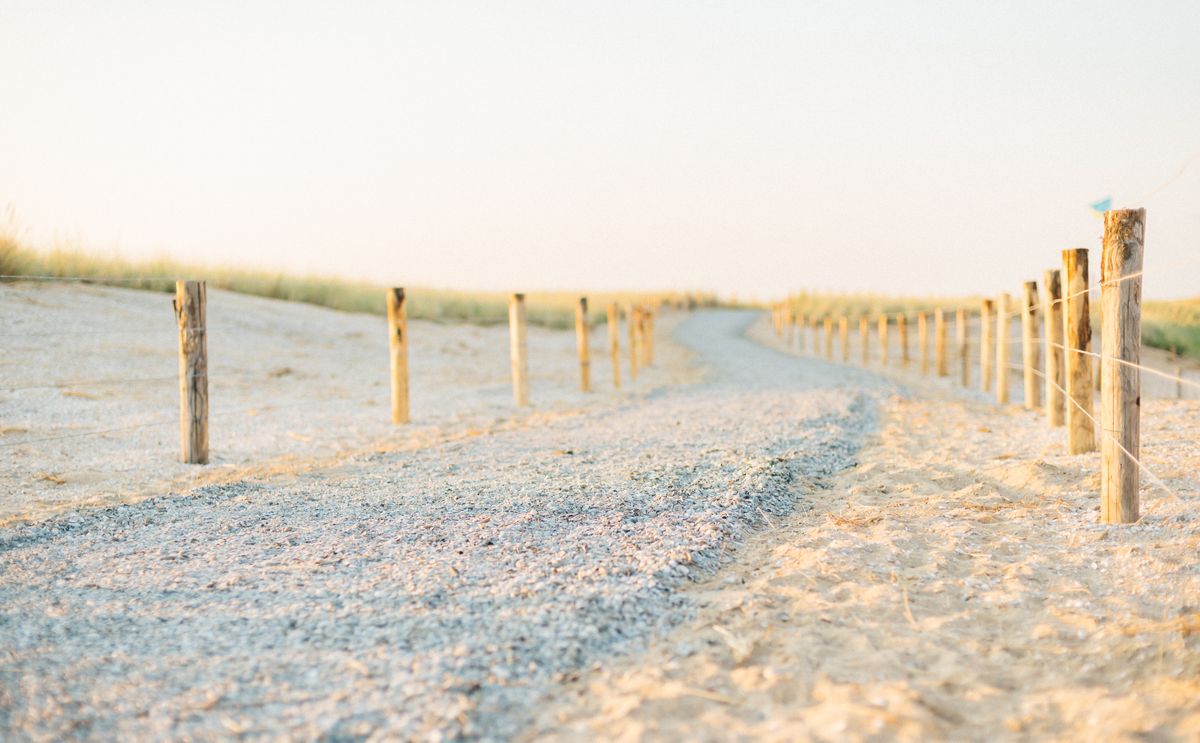 Tranquil gravel path through Dutch sand dunes bordered by a wooden fence at sunrise.