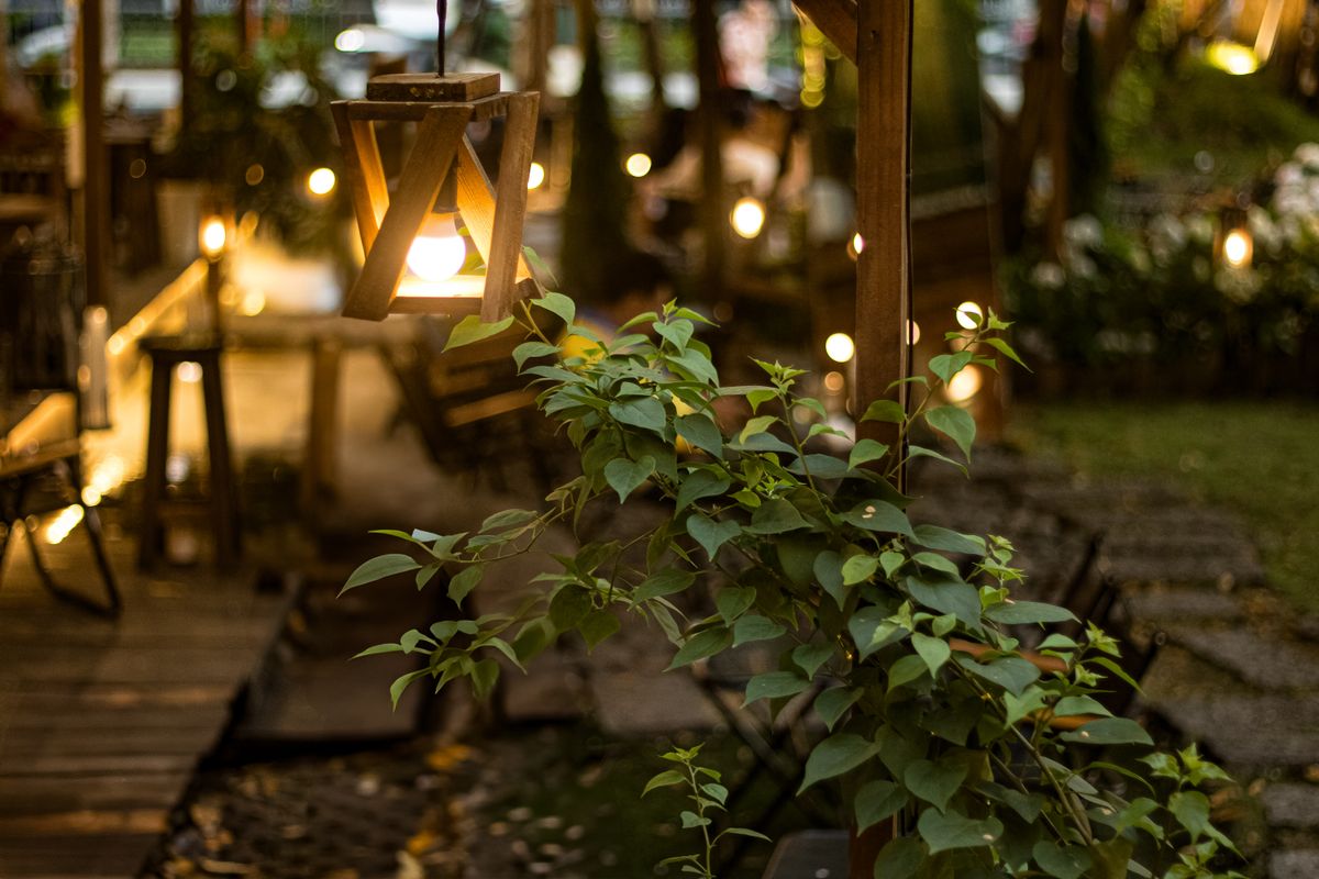 Warm garden lighting with green foliage in a cozy outdoor setting in Ho Chi Minh.