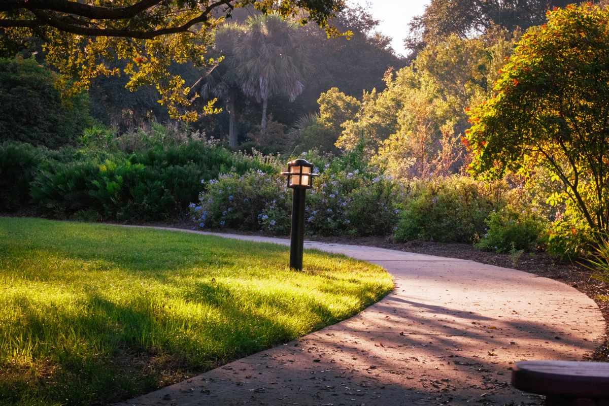 A serene garden path in The Villages, Florida, illuminated by warm sunlight.