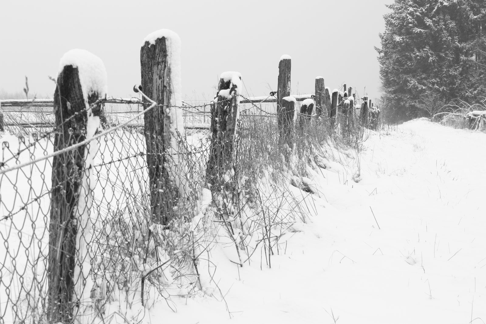 How to Protect Your Solar Post Cap Lights During Winter Snow and Frost