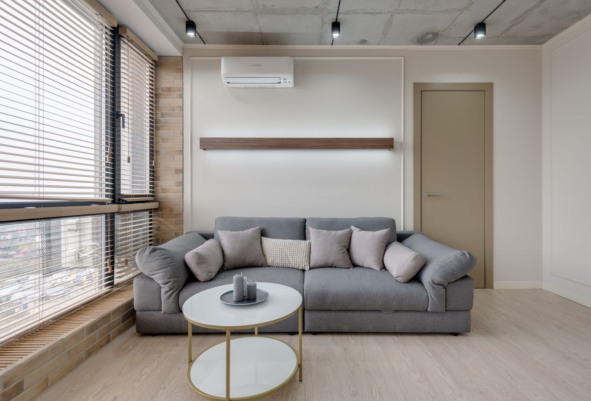 Minimalist living room with grey sofa, pillows, and modern decor.