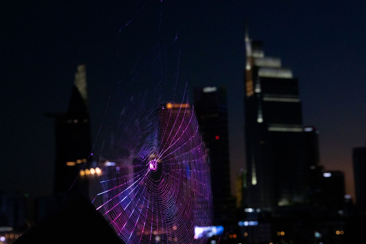 A colorful spider web illuminated against a modern city skyline at night, creating a vibrant contrast.