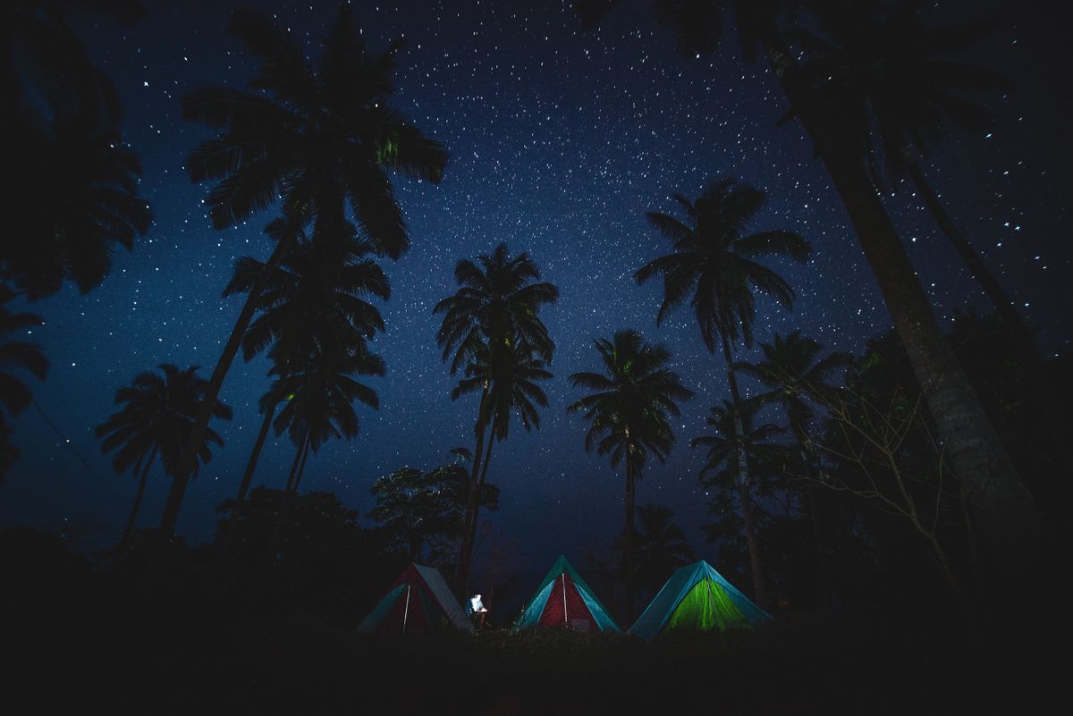 Immersive starry night camping scene with tents under coconut palms.