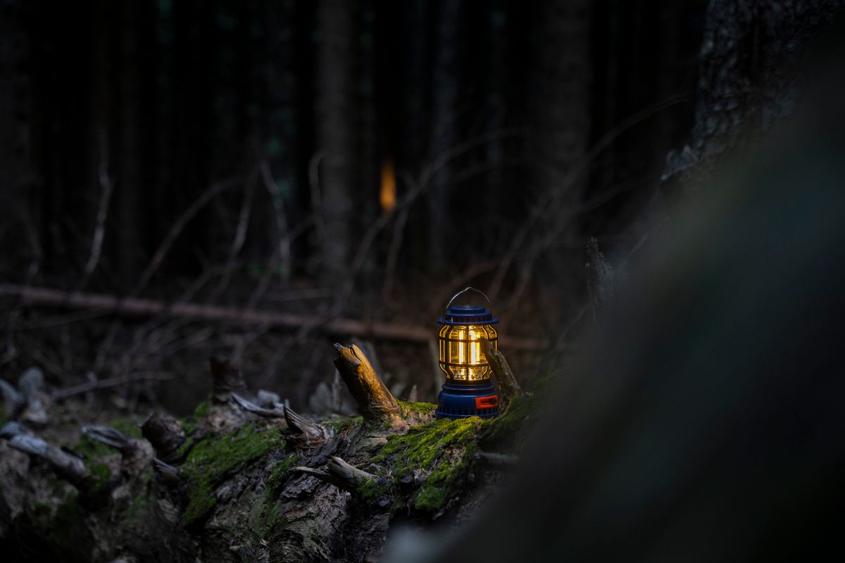 A glowing lantern on a forest log creates a mystical night ambiance in the woods of Bursa, Türkiye.