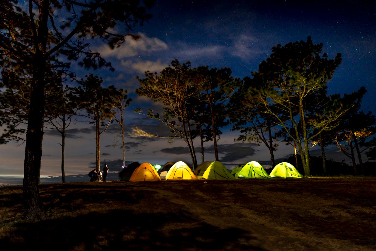 Beautiful night camping scene with glowing tents under a starry sky among pine trees.