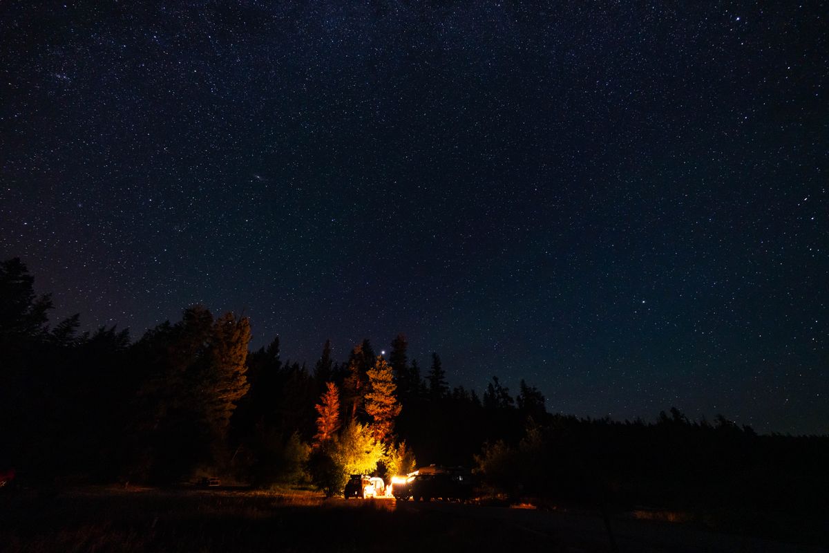 A serene night camping under a starry sky amidst a forest, illuminated by campfire light.