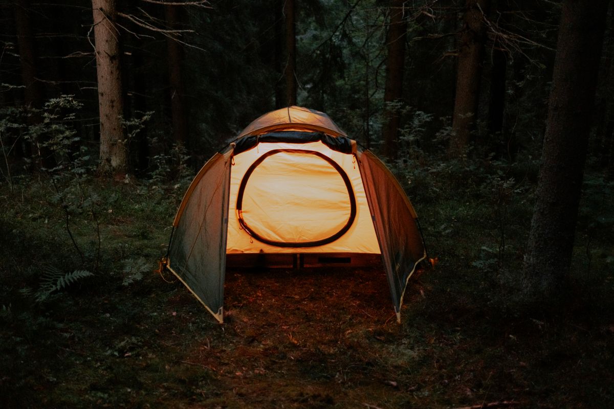 A warmly lit tent set in a serene forest, perfect for a peaceful camping trip.