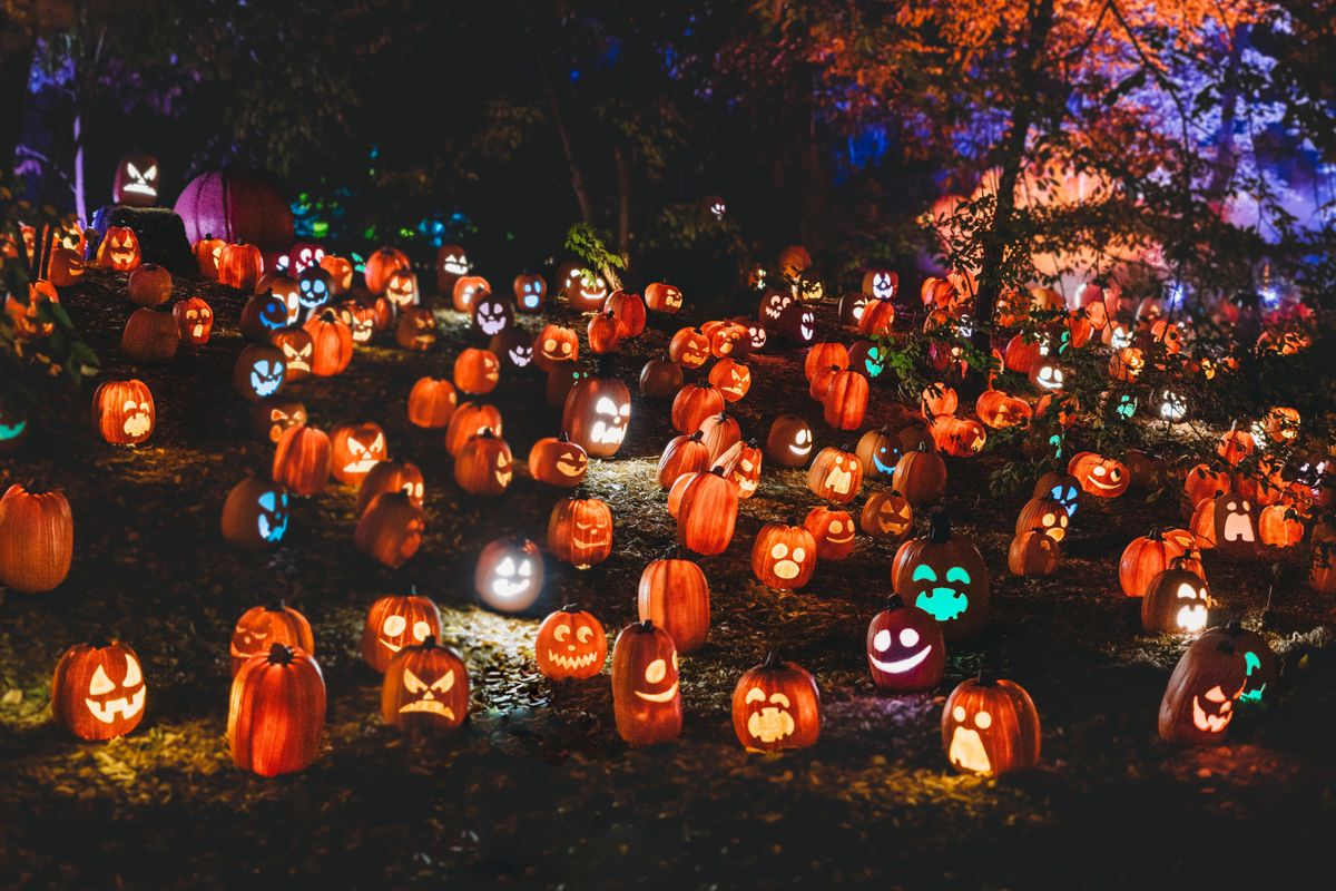 A spooky display of carved pumpkins glowing in the night at an Indianapolis pumpkin patch.
