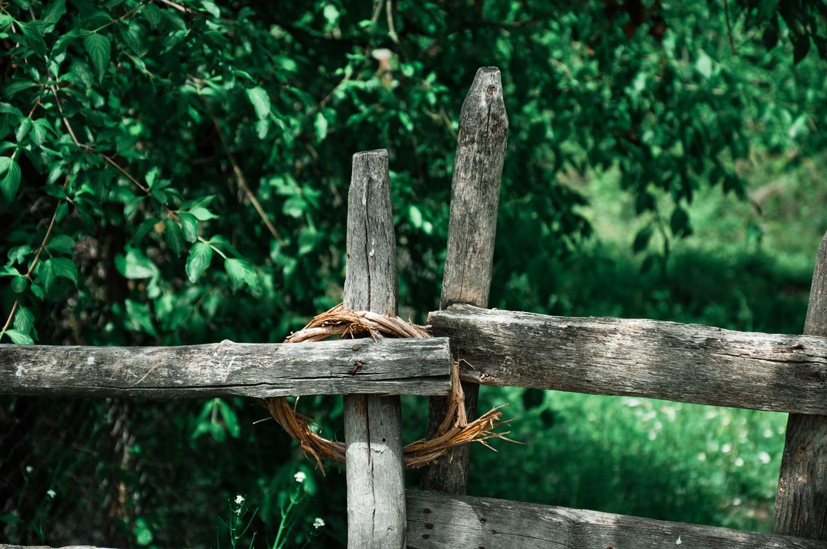 Weathered wooden fence surrounded by lush green foliage, evoking a rustic outdoor setting.