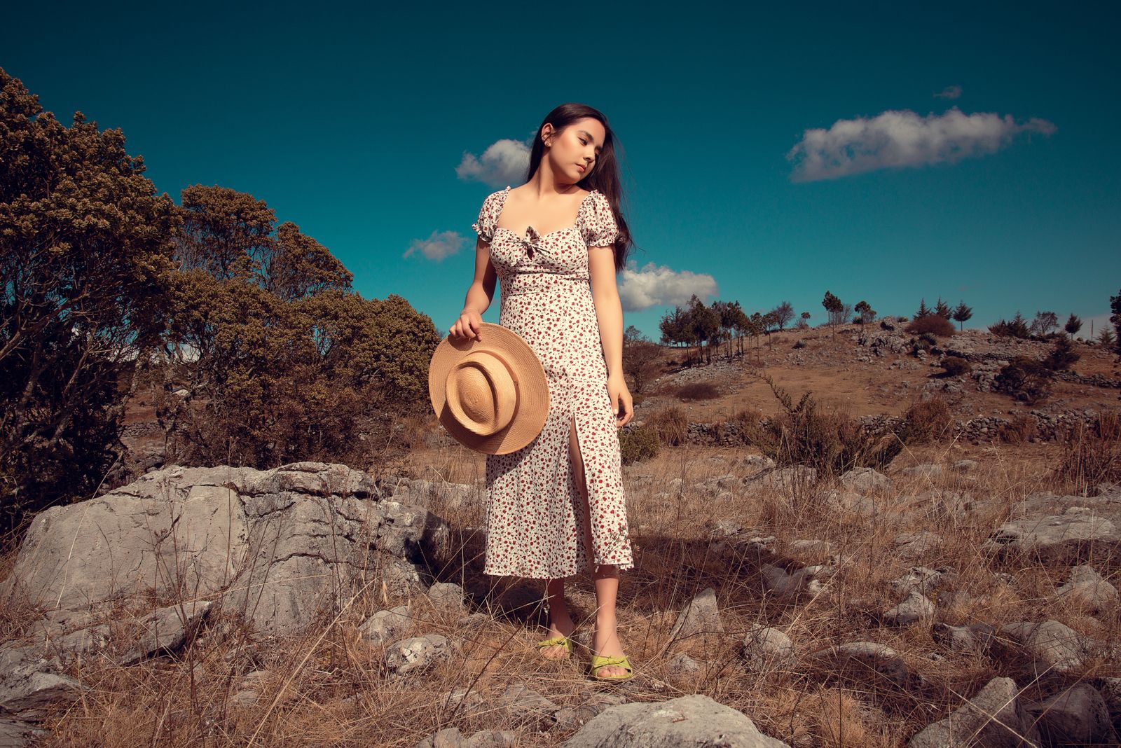 Steam or Iron? How to Press Wrinkles Out of a Structured Bustier Sundress