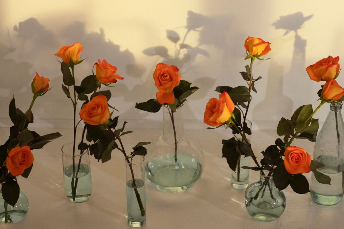 Bright blossoming flowers with thin stalks and tender petals in vases with aqua in soft sunlight